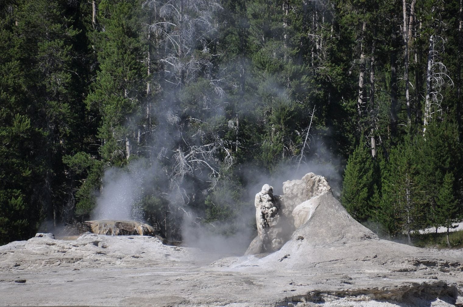 Giant Geyser, World