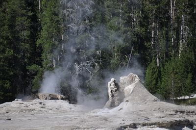 Giant Geyser