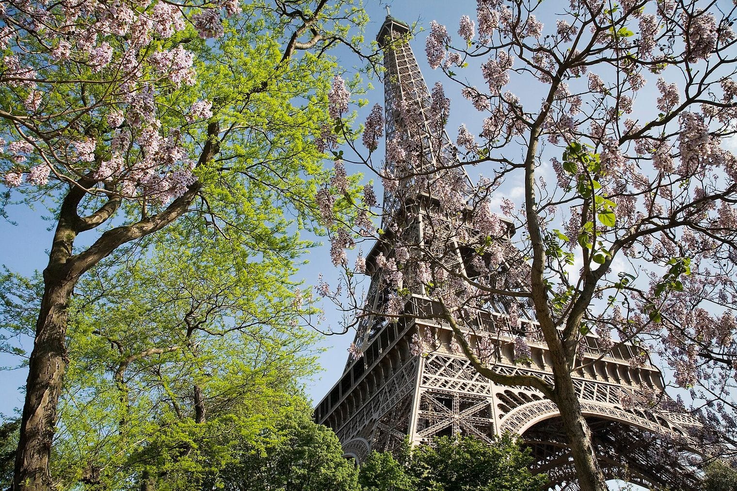 Eiffel Tower, World