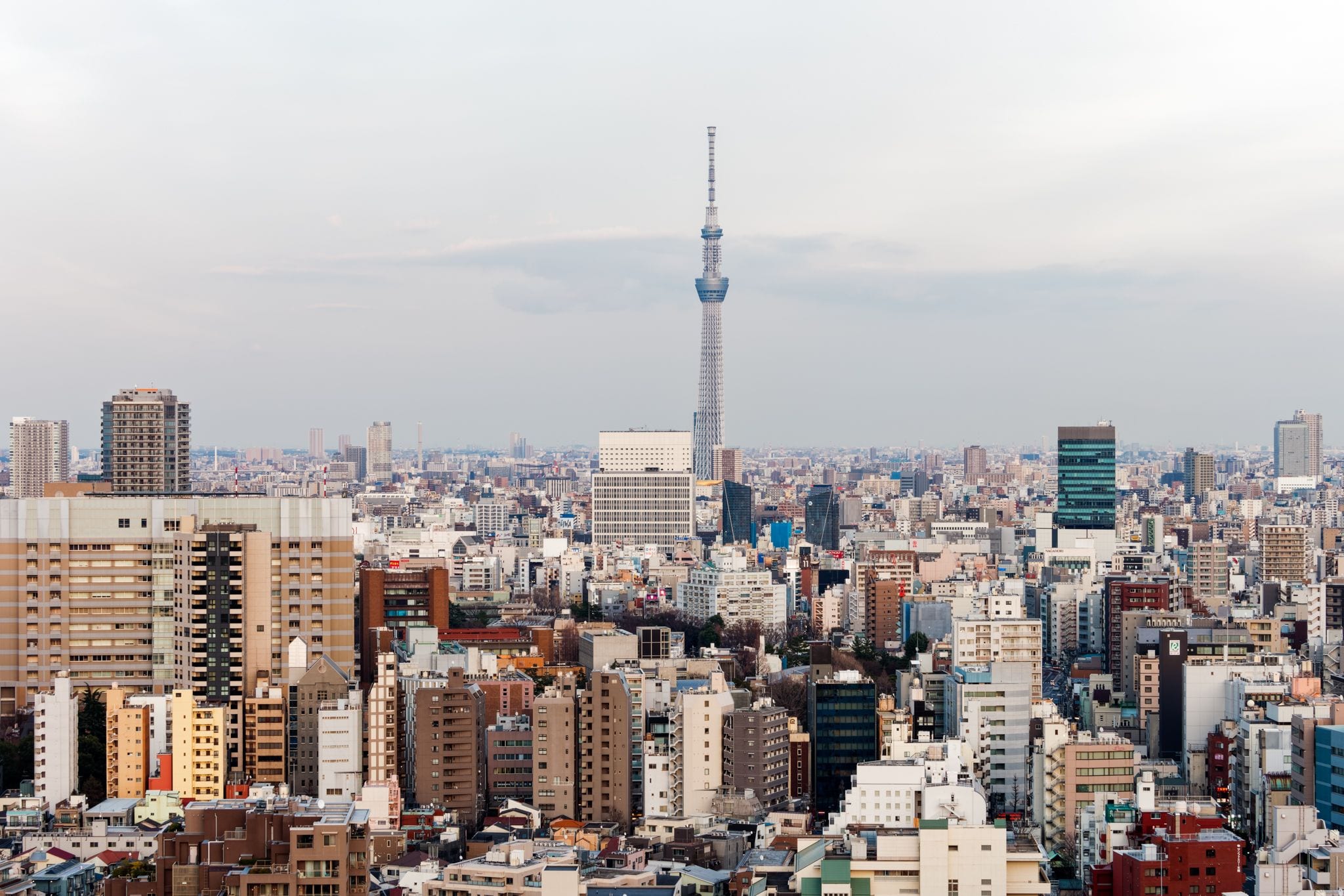 Tokyo Skytree soaring high above the dense low-rise skyline of Tokyo, Japan, under a soft overcast evening sky