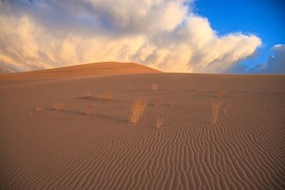 Eureka Dunes