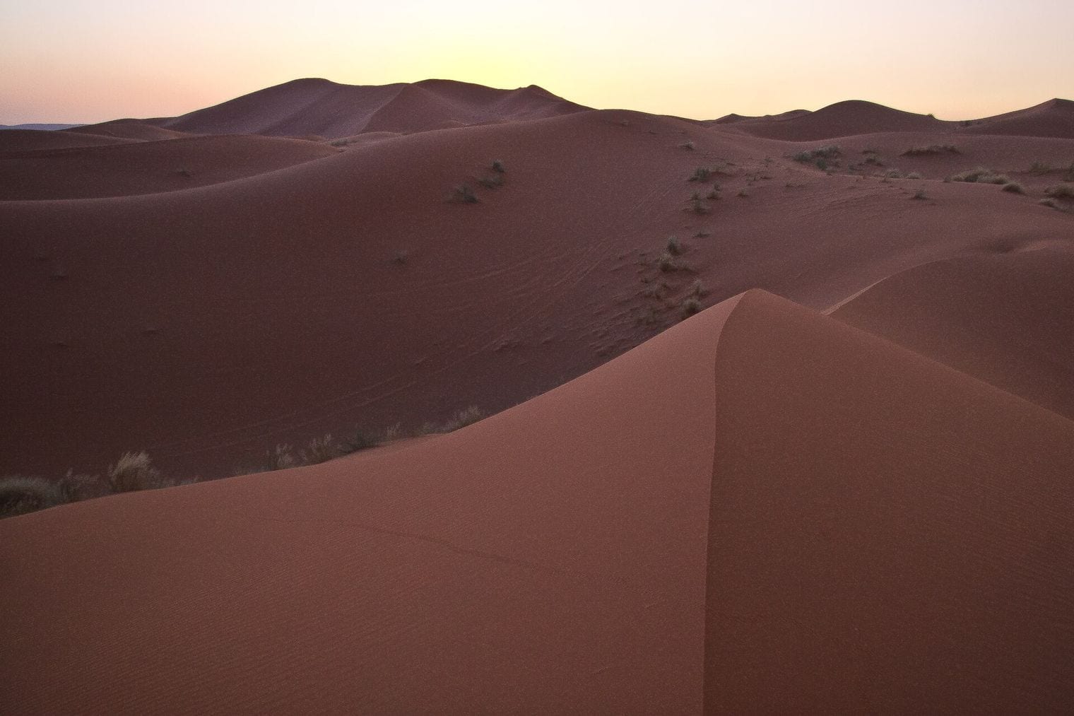 Erg Chebbi, World