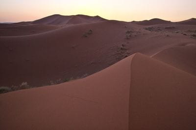 Erg Chebbi
