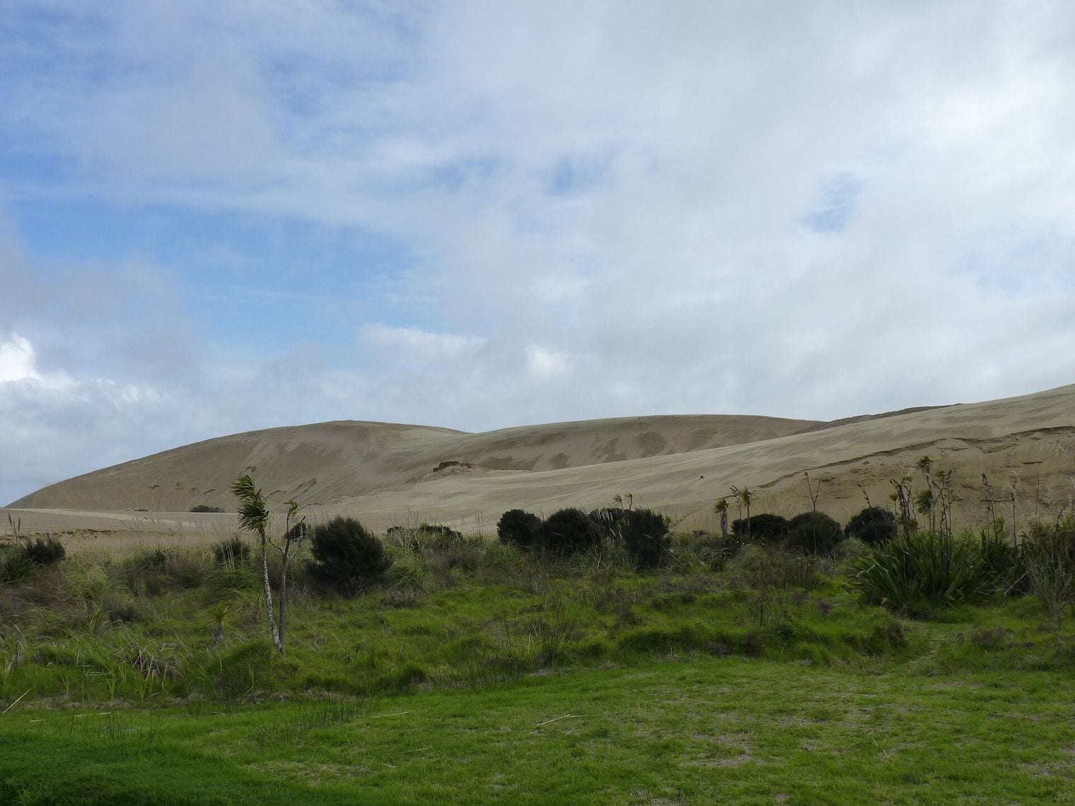 Te Paki Sand Dunes, World