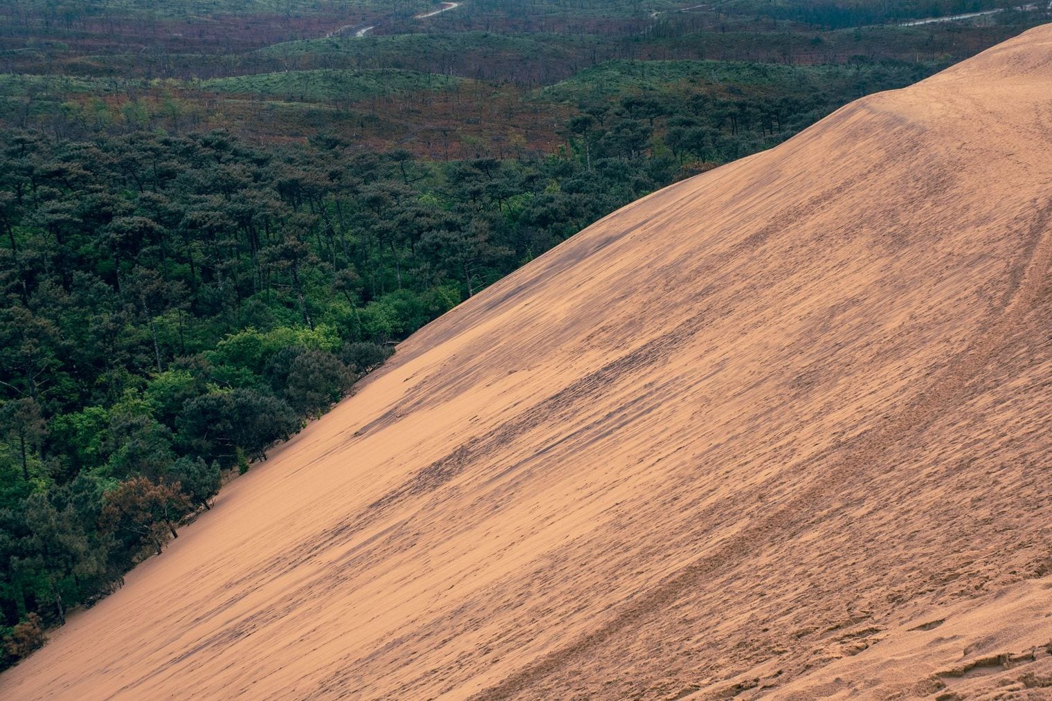 Dune of Pilat, World