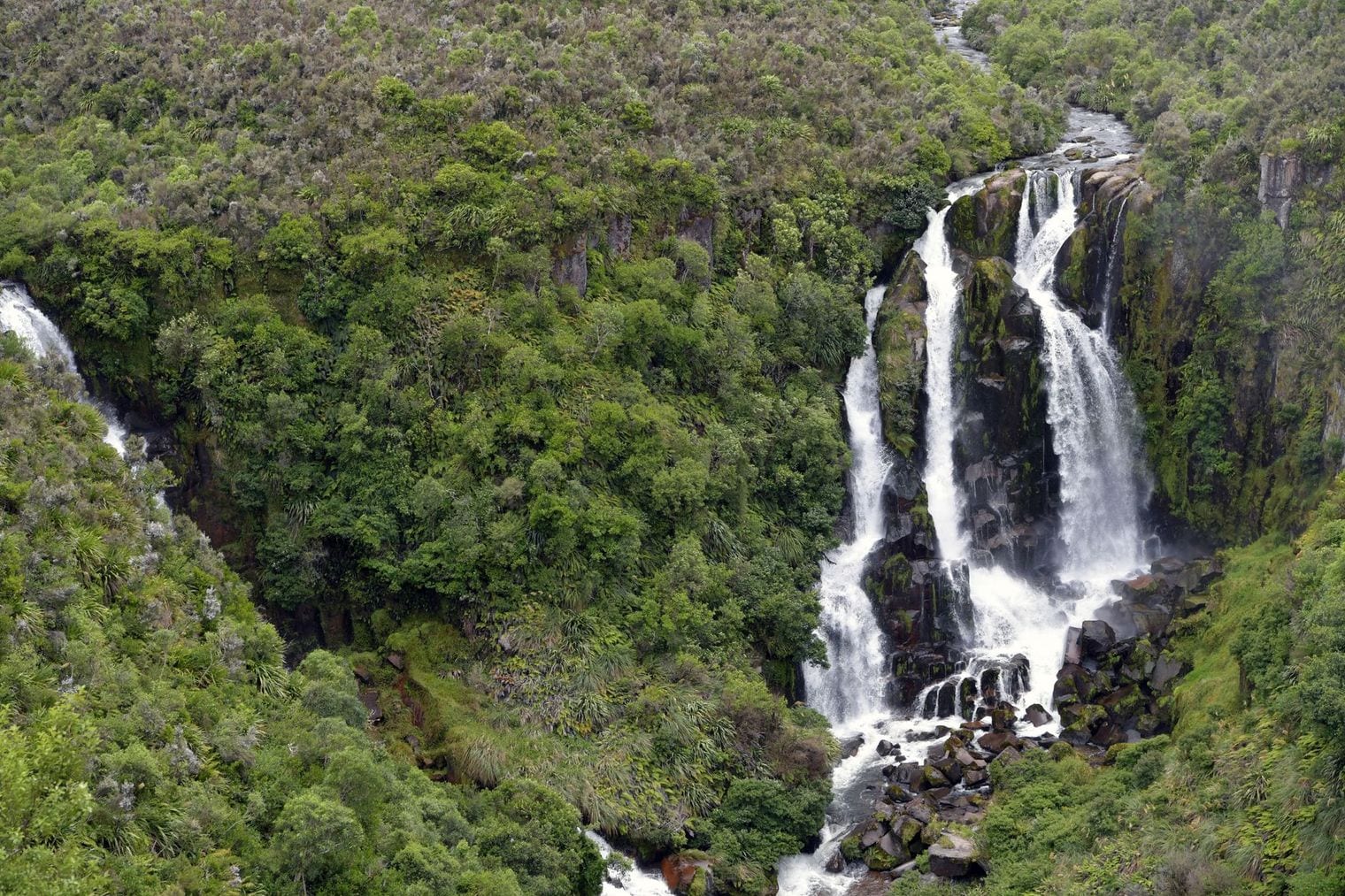 Browne Falls, World