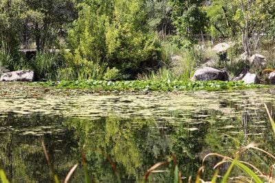 ABQ BioPark Botanic Garden