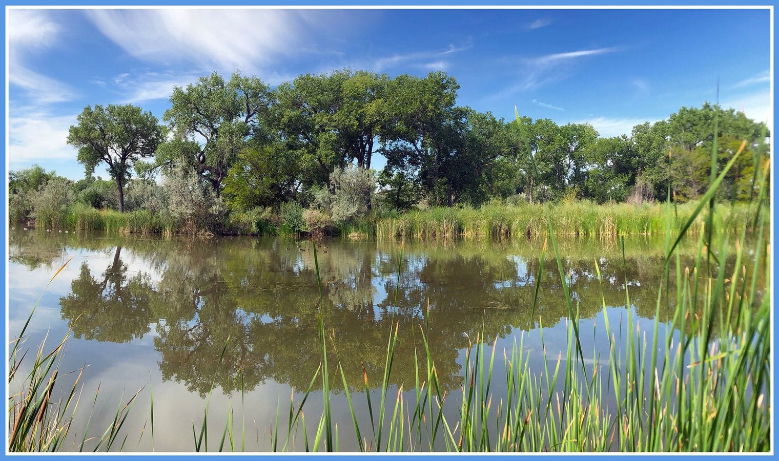 Tingley Beach, New Mexico