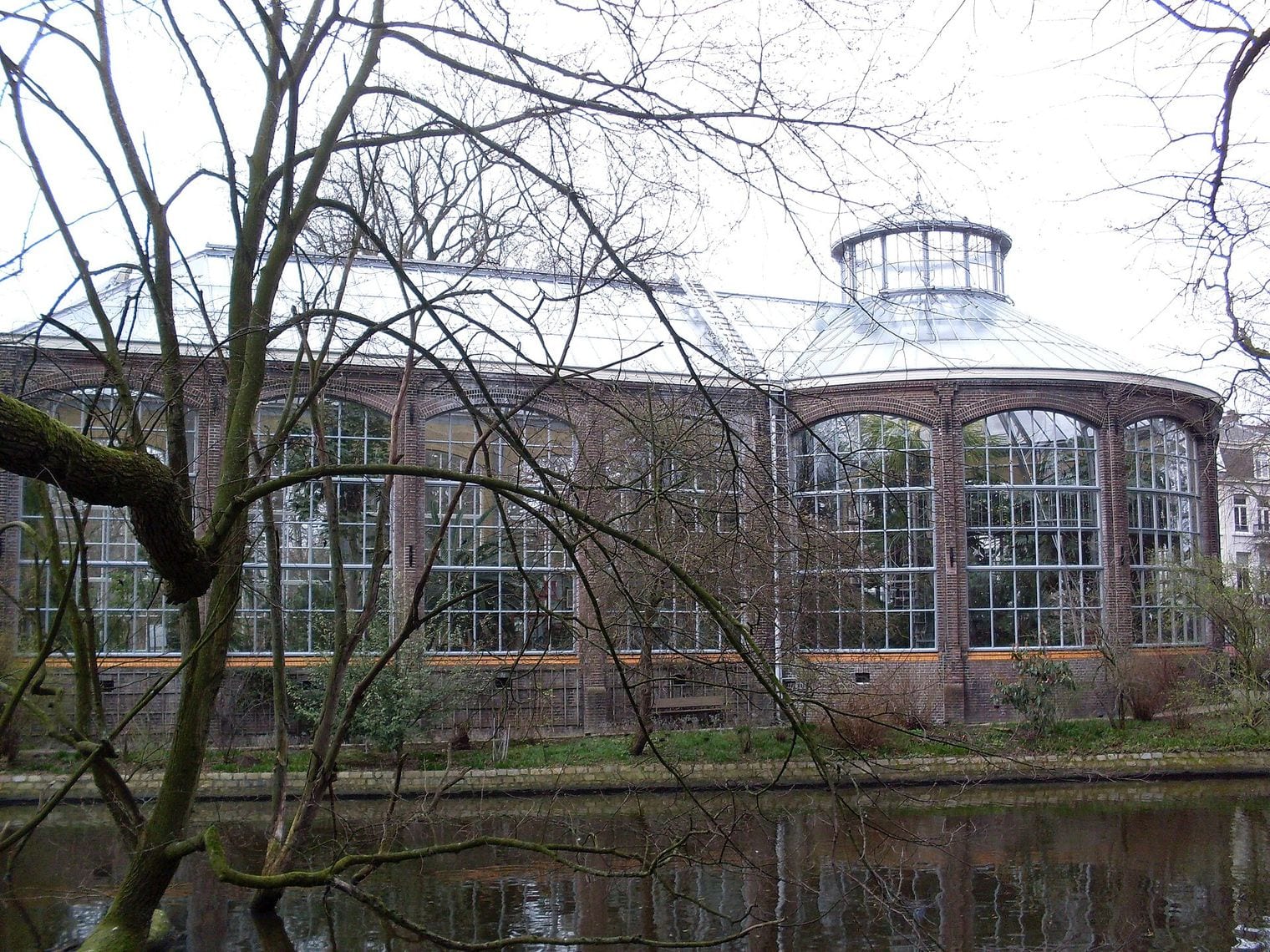 Hortus Botanicus, Netherlands