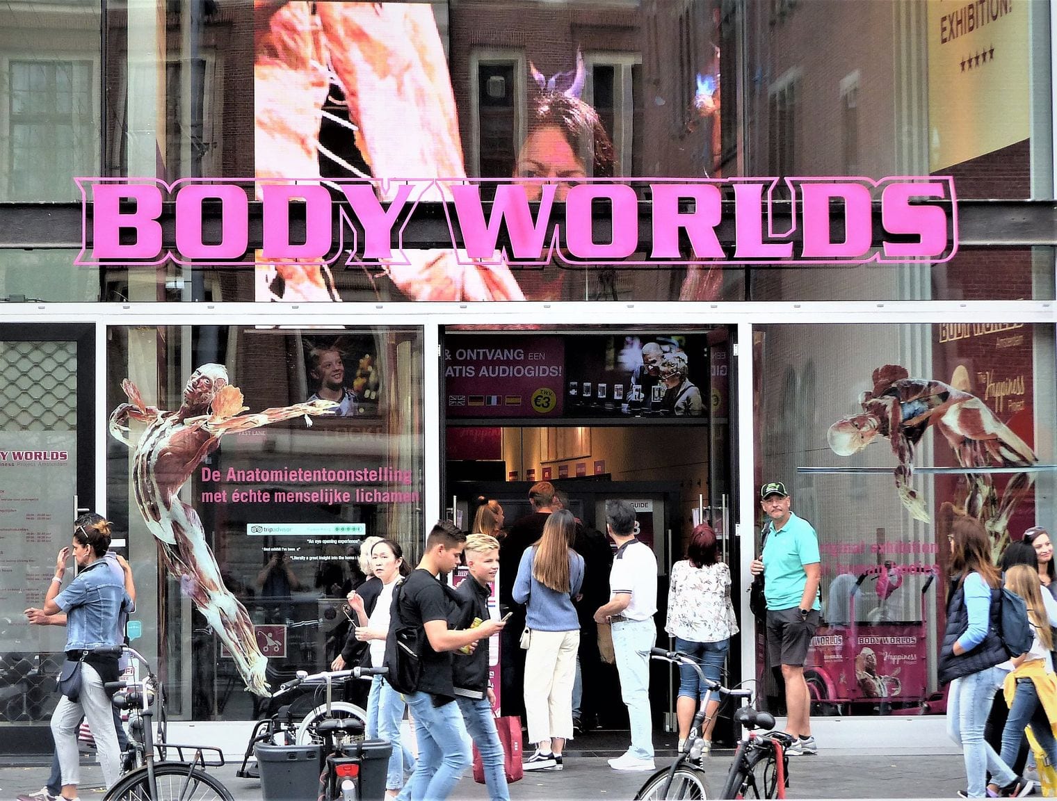 BODY WORLDS Amsterdam, Netherlands