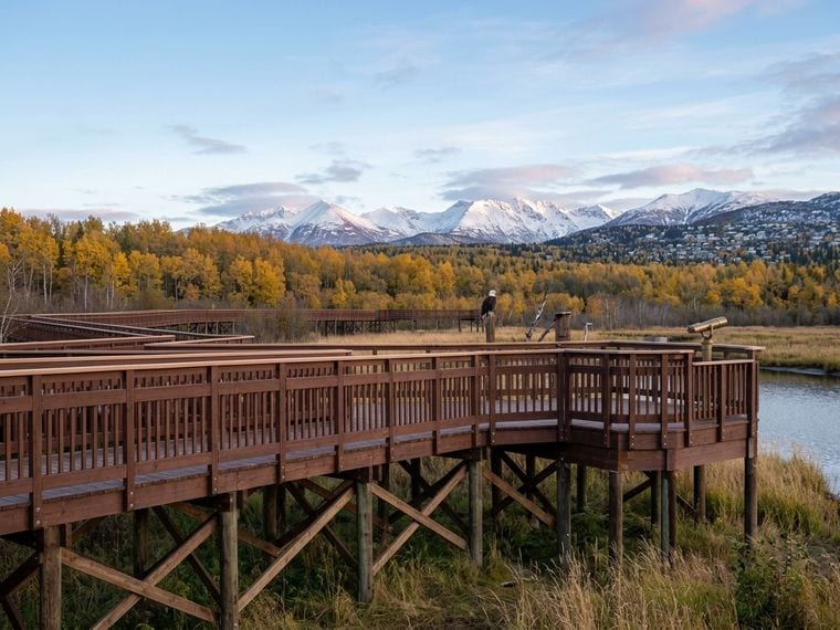 Potter Marsh Wildlife Viewing Boardwalk