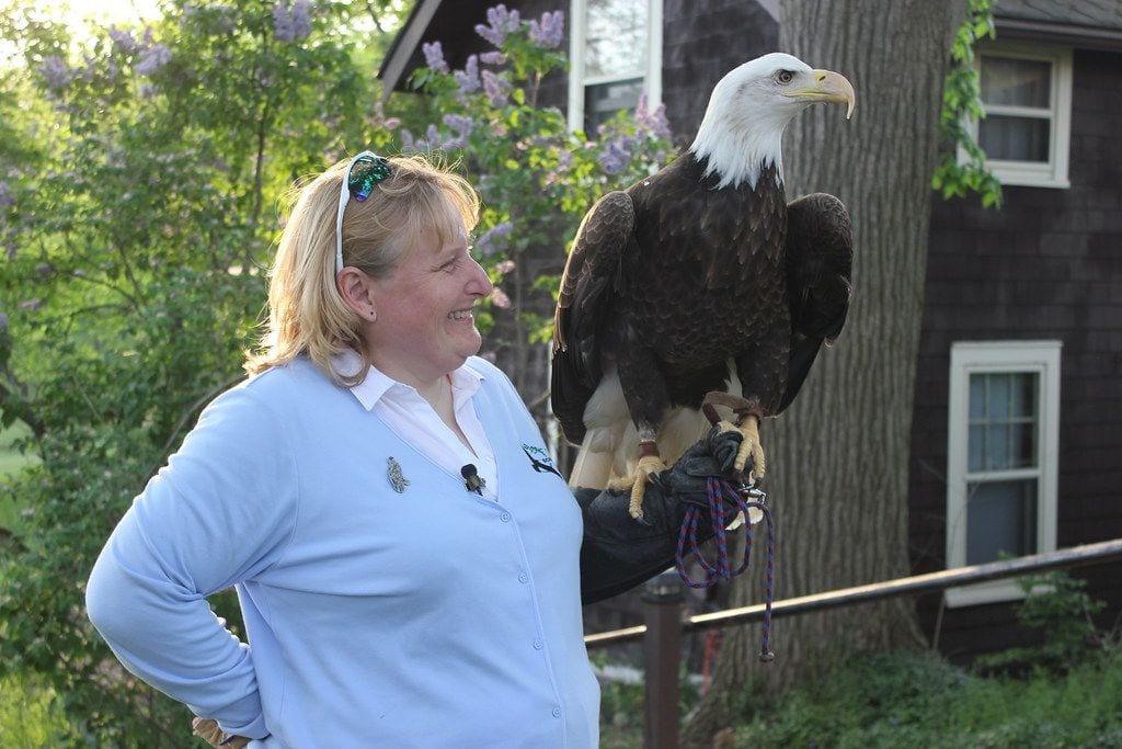 Leslie Science and Nature Center, Ann Arbor, Michigan