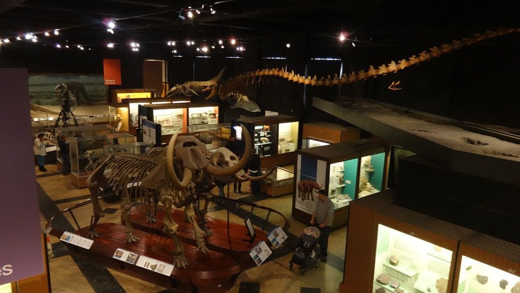 University of Michigan Museum of Natural History