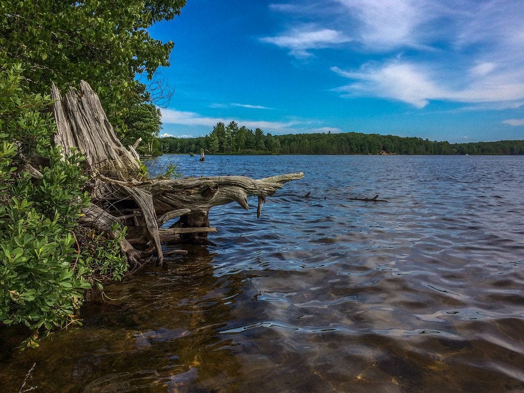 Island Lake Recreation Area, Ann Arbor, Michigan