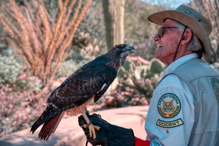 Arizona-Sonora Desert Museum