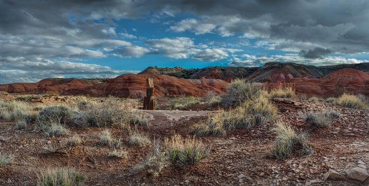 Petrified Forest National Park