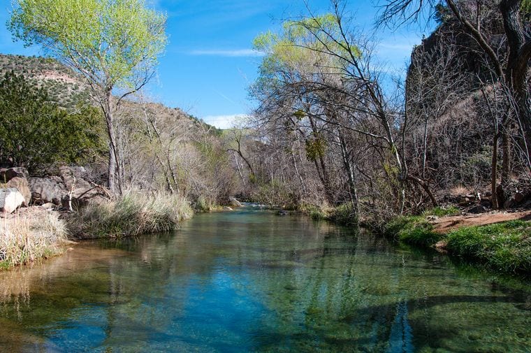 Tonto National Forest
