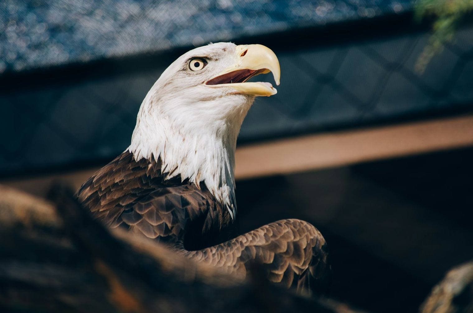 Phoenix Zoo, Arizona