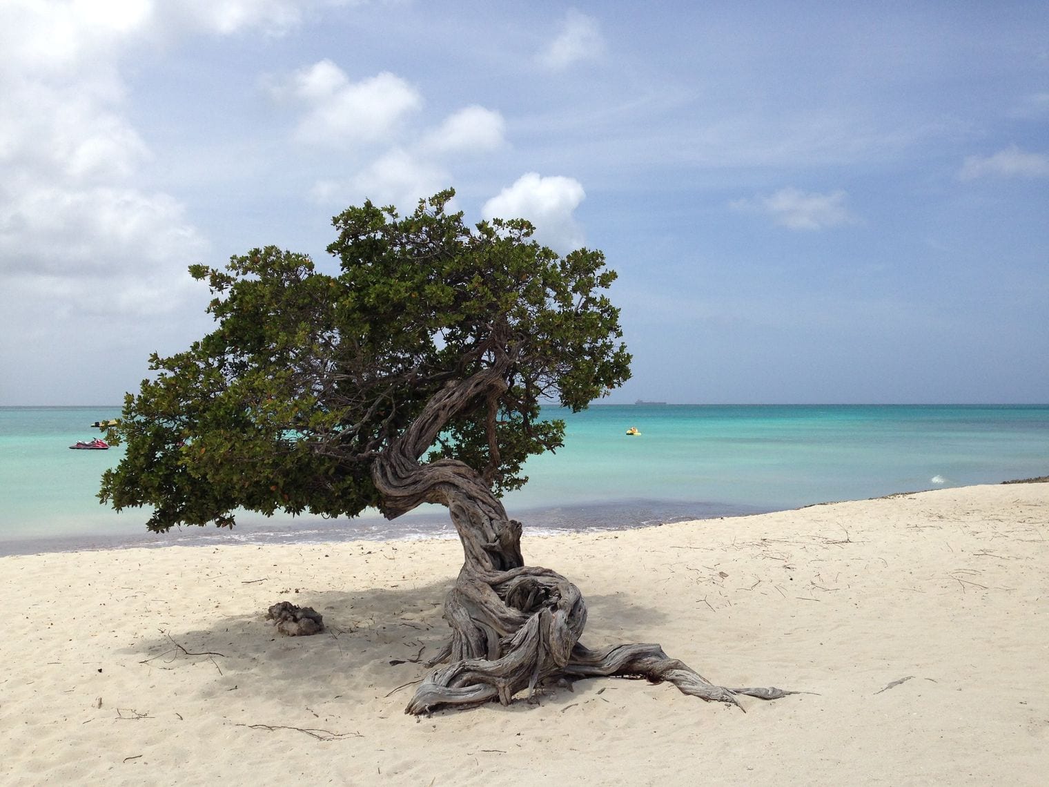 Eagle Beach, Aruba
