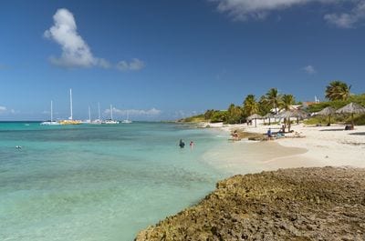 Boca Catalina