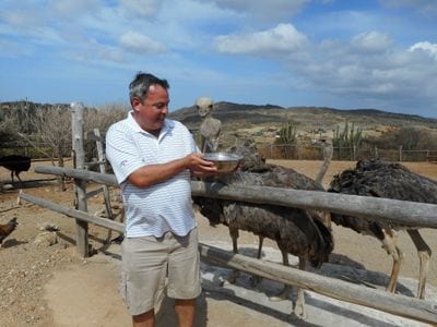 Aruba Ostrich Farm