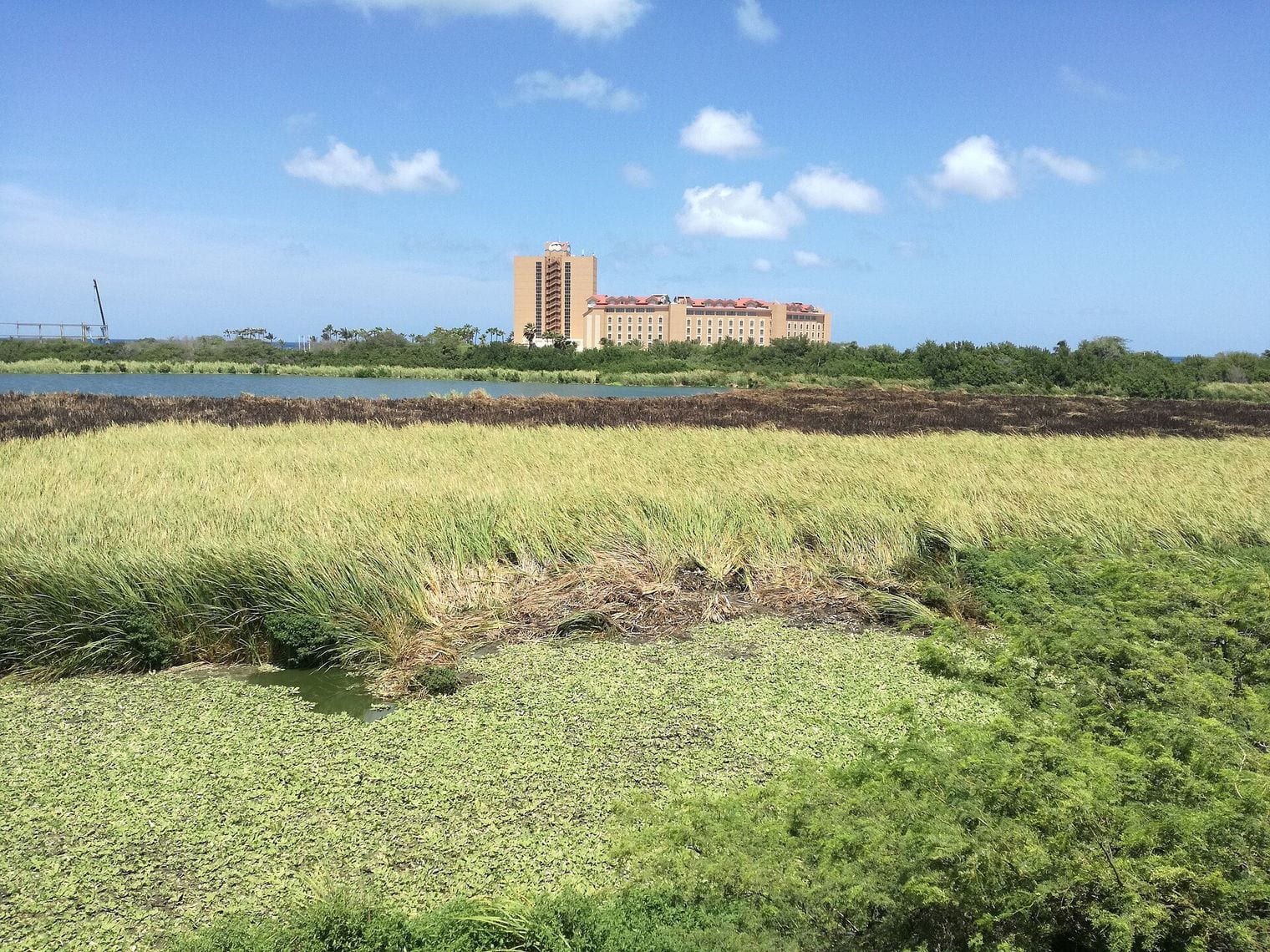 Bubali Bird Sanctuary, Aruba
