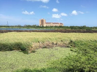 Bubali Bird Sanctuary
