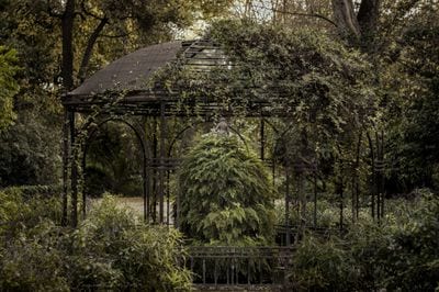 National Garden of Athens