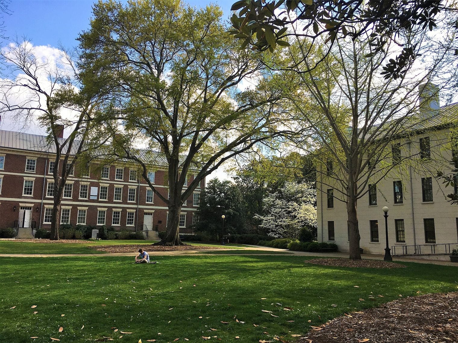 The University of Georgia Campus