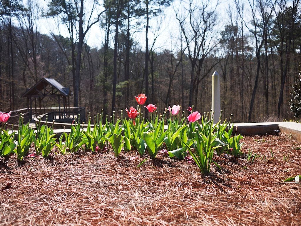 State Botanical Garden of Georgia