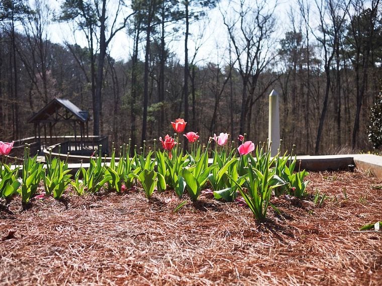 State Botanical Garden of Georgia