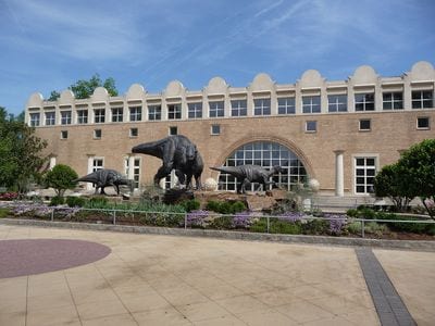 Fernbank Museum