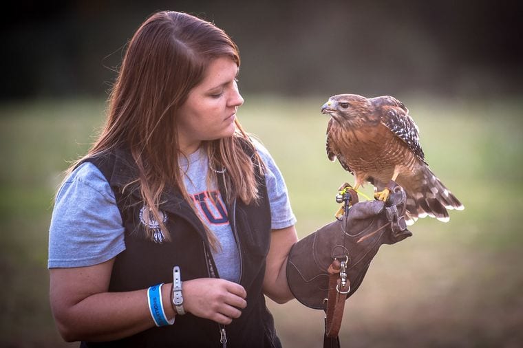 Southeastern Raptor Center