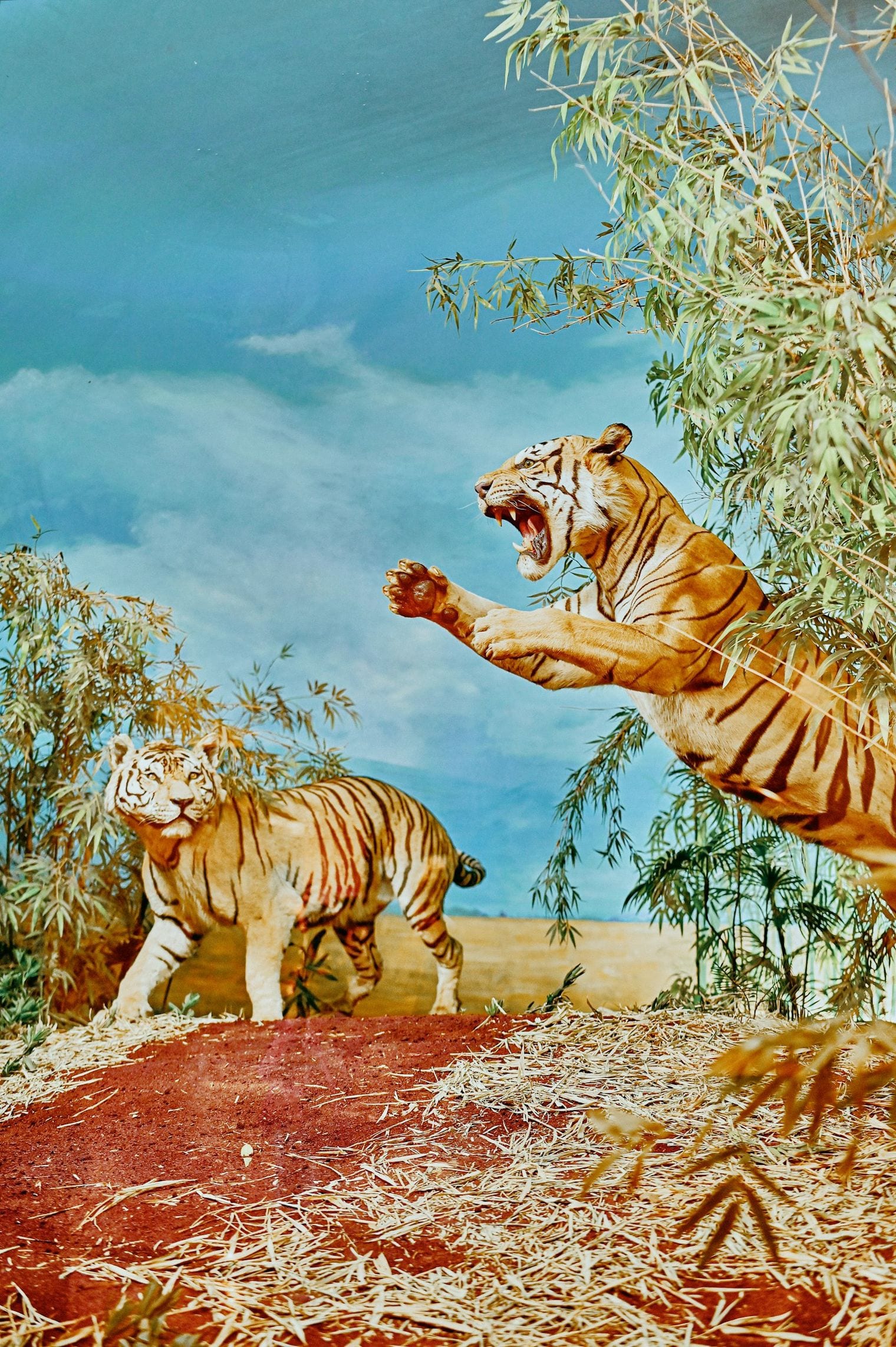 Buena Vista Museum of Natural History and Science, Bakersfield, California