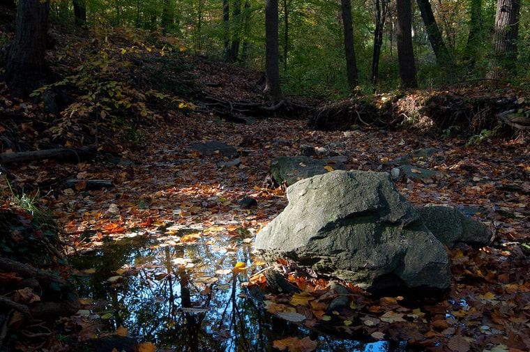 Double Rock Park