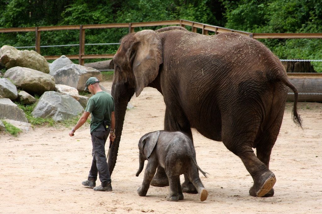 The Maryland Zoo in Baltimore