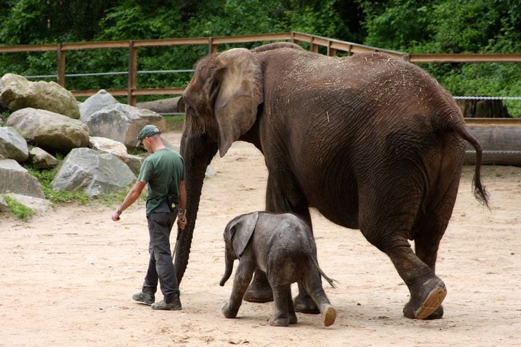 The Maryland Zoo in Baltimore