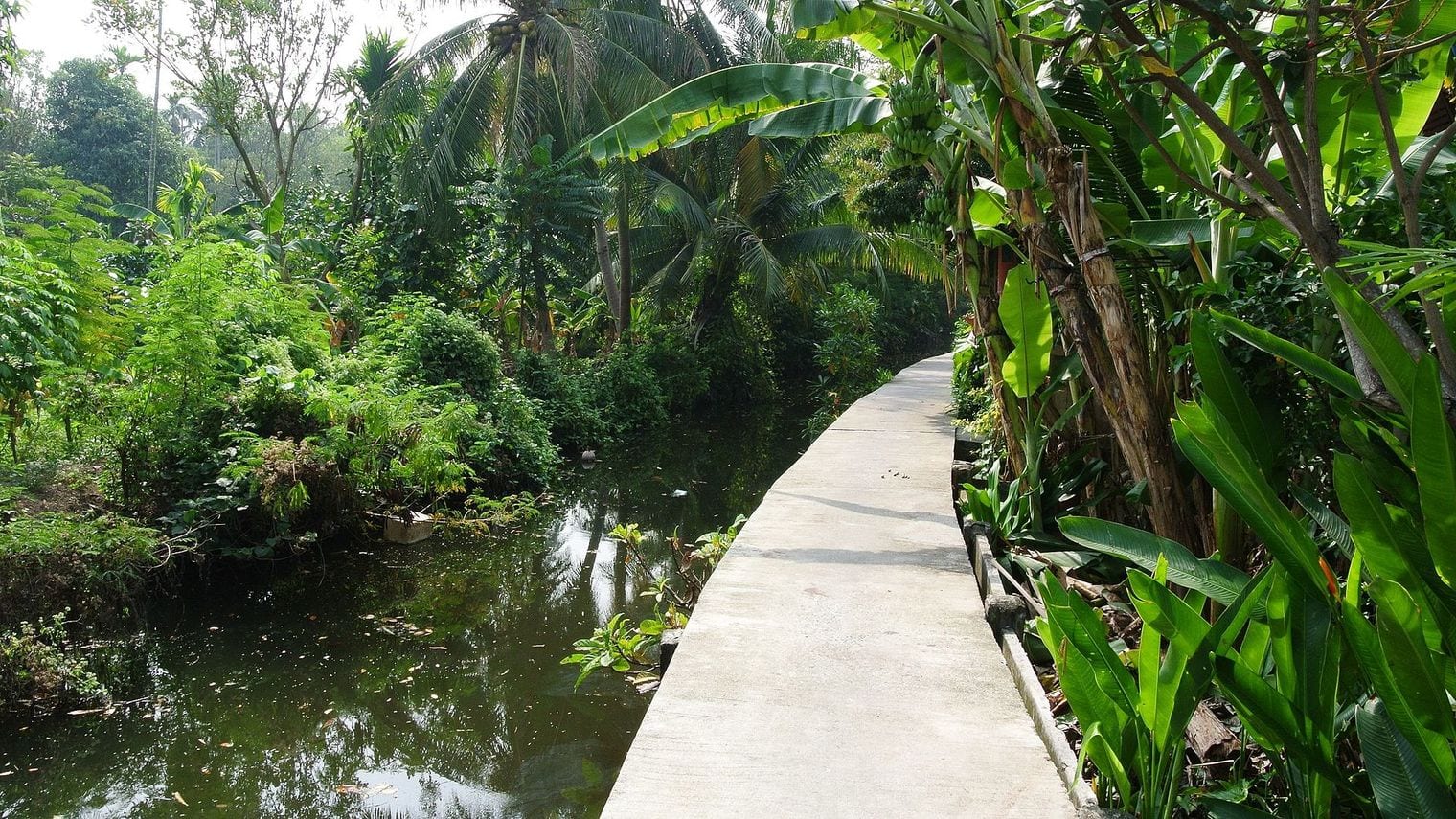 Bang Krachao, the Green Lung, Thailand