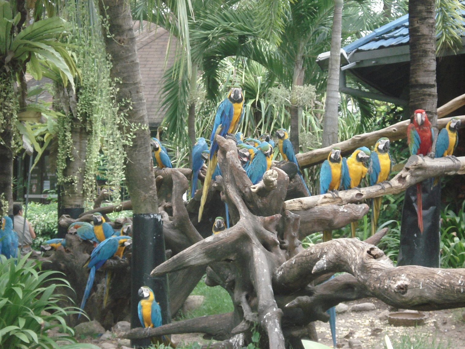 Safari World, Thailand