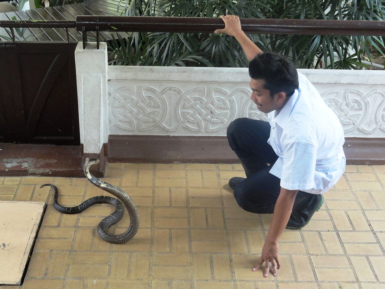 The Snake Farm, Thailand