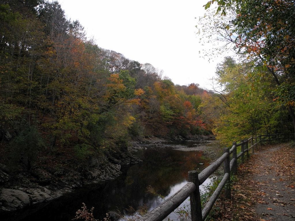 Bangor City Forest