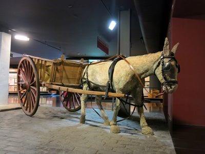 Museu d'Història de Catalunya