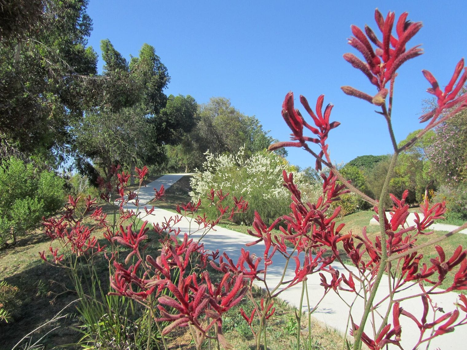 Jardí Botànic de Barcelona, Spain