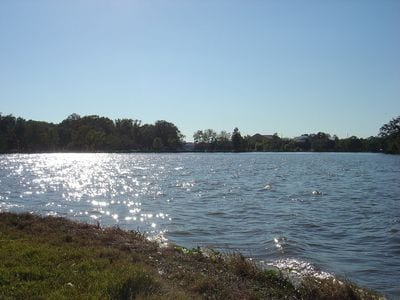 University Lakes