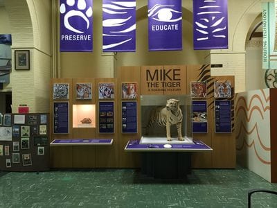 LSU Museum of Natural Science