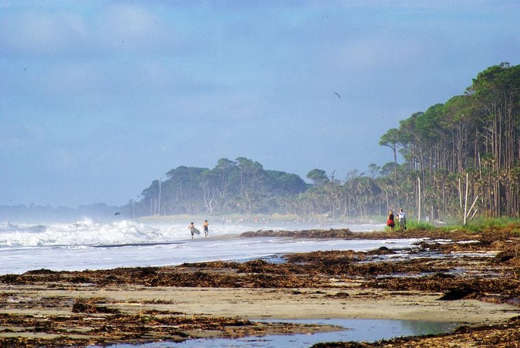 Hunting Island State Park