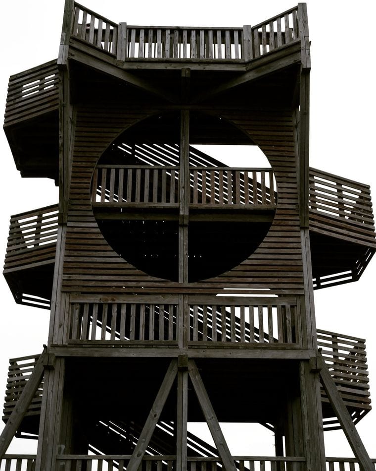 Port Royal Boardwalk and Observation Tower