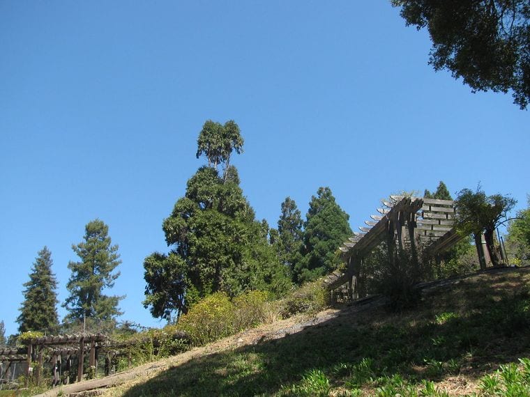 Codornices Park