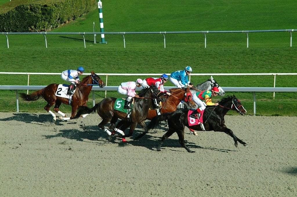 Golden Gate Fields, Berkeley, California