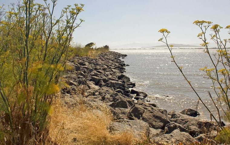 Point Isabel Regional Shoreline